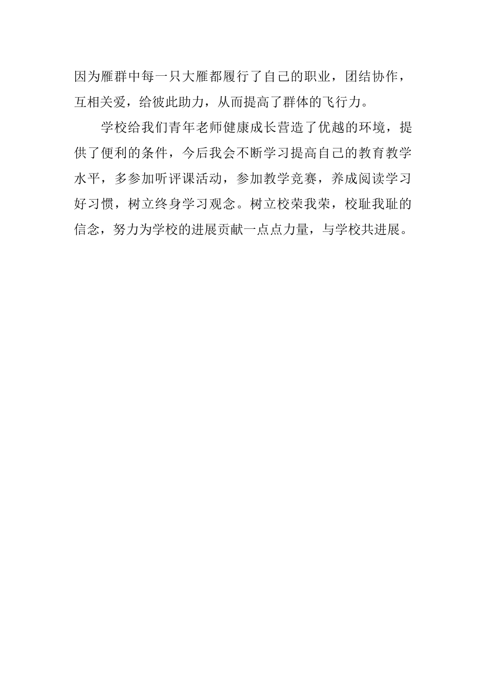 青年教师研讨活动与团队拓展会议发言稿_第2页