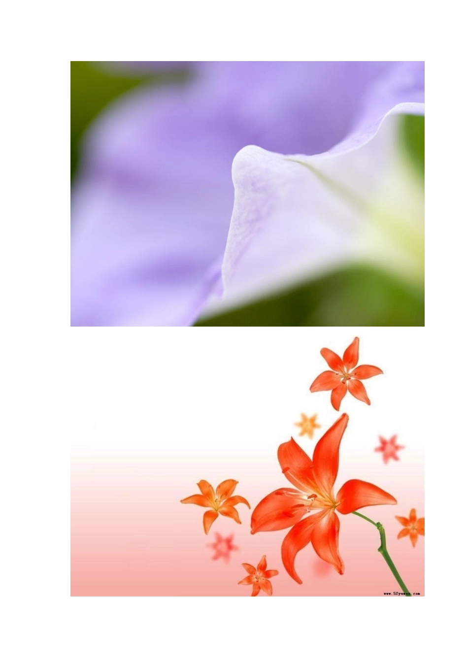 非常好看的唯美ppt背景图片_第2页