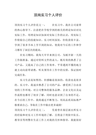顶岗实习个人评价