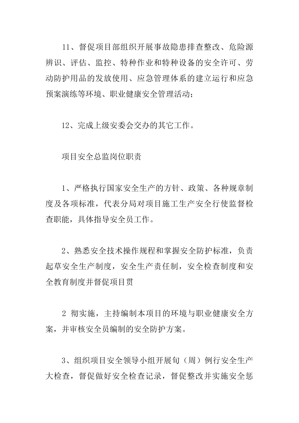 项目安全总监年度工作计划范本五篇_第3页