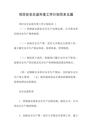 项目安全总监年度工作计划范本五篇