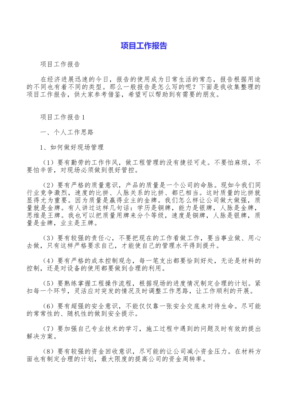 项目工作报告_第1页