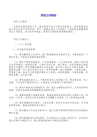 项目工作报告