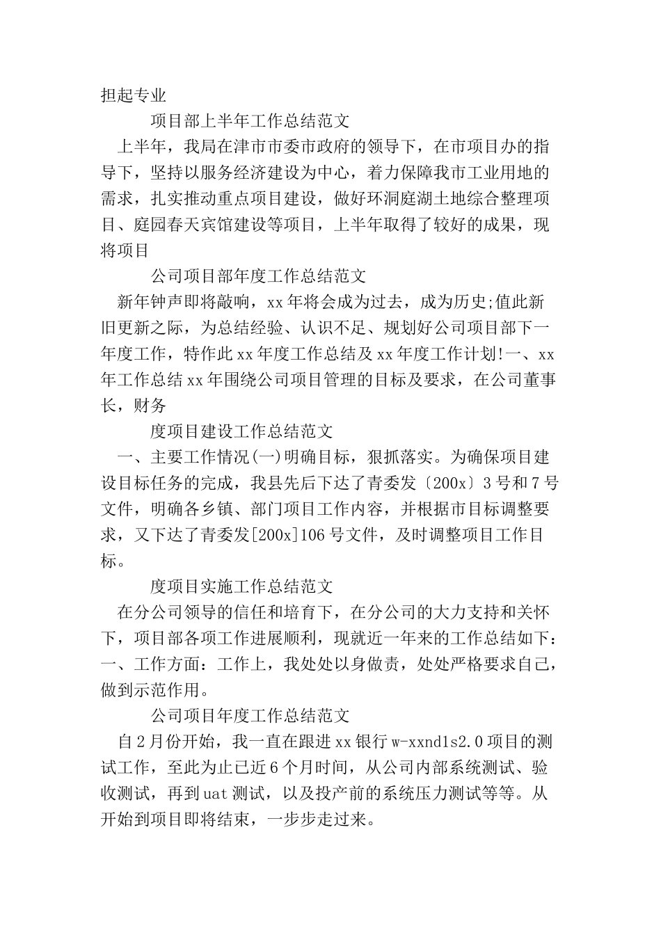 项目工作总结集锦_第2页