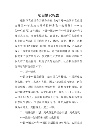 项目情况报告