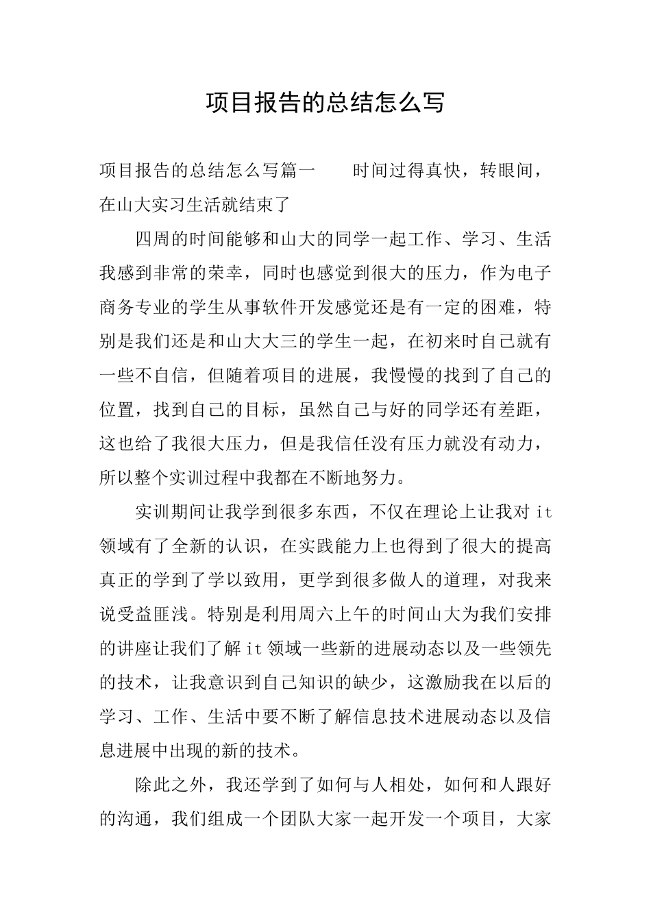 项目报告的总结怎么写_第1页