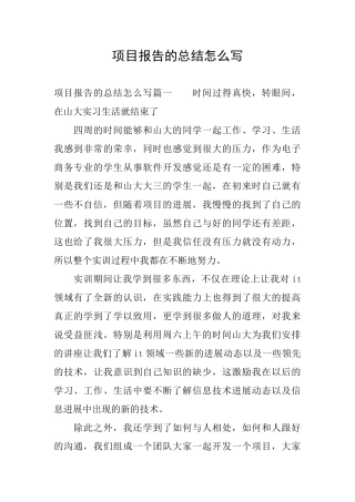 项目报告的总结怎么写