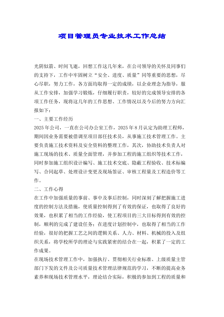 项目管理员专业技术工作总结_第1页