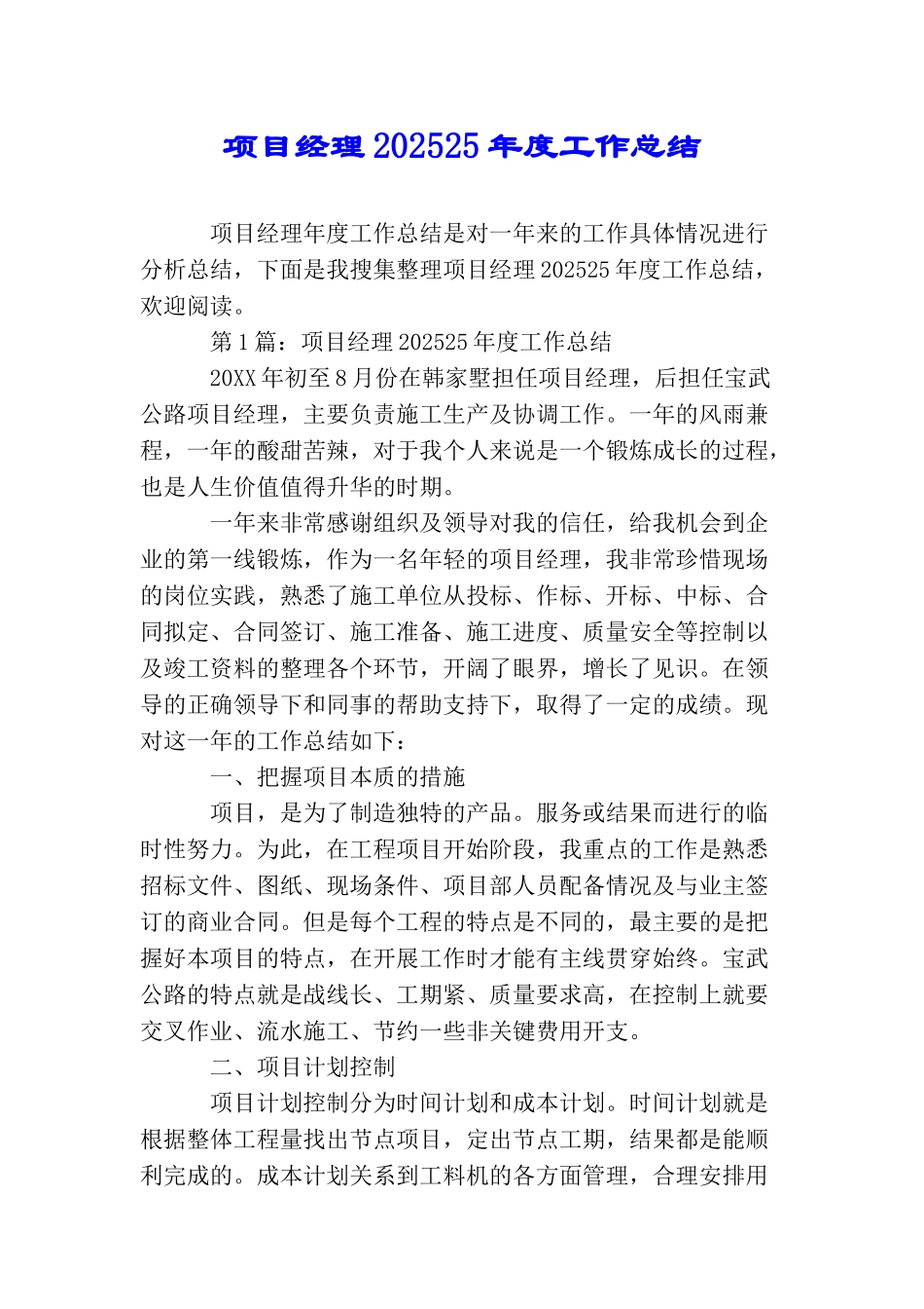 项目经理202025年度工作总结_第1页