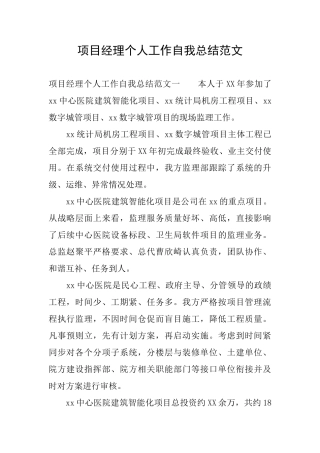 项目经理个人工作自我总结范文