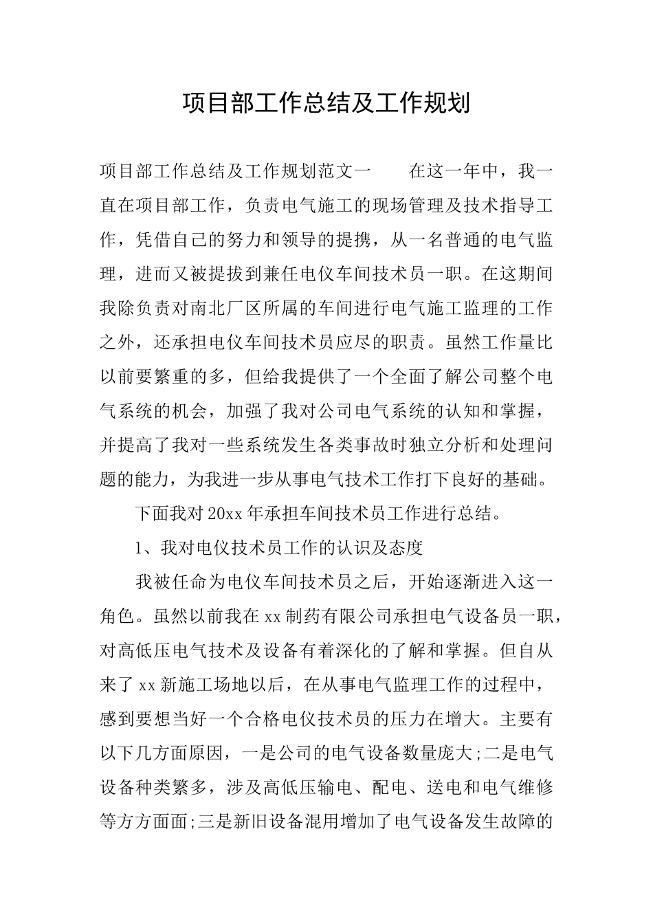 项目部工作总结及工作规划_第1页