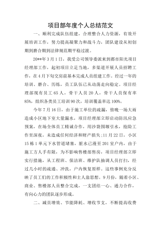 项目部年度个人总结范文