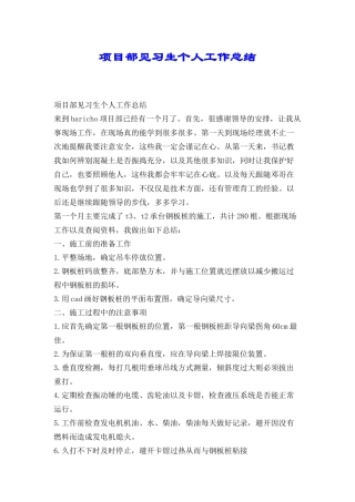 项目部见习生个人工作总结