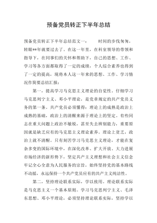 预备党员转正下半年总结