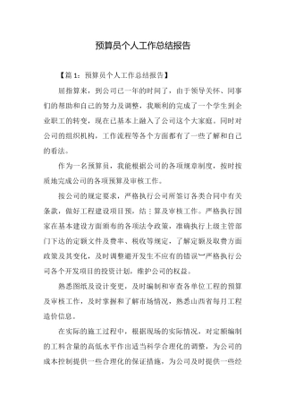 预算员个人工作总结报告