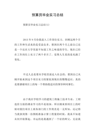 预算员毕业实习总结