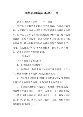 预算员顶岗实习总结三篇