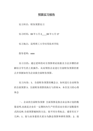 预算实习报告