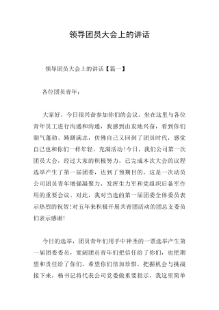 领导团员大会上的讲话