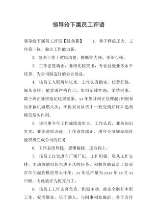 领导给下属员工评语