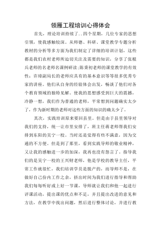 领雁工程培训心得体会