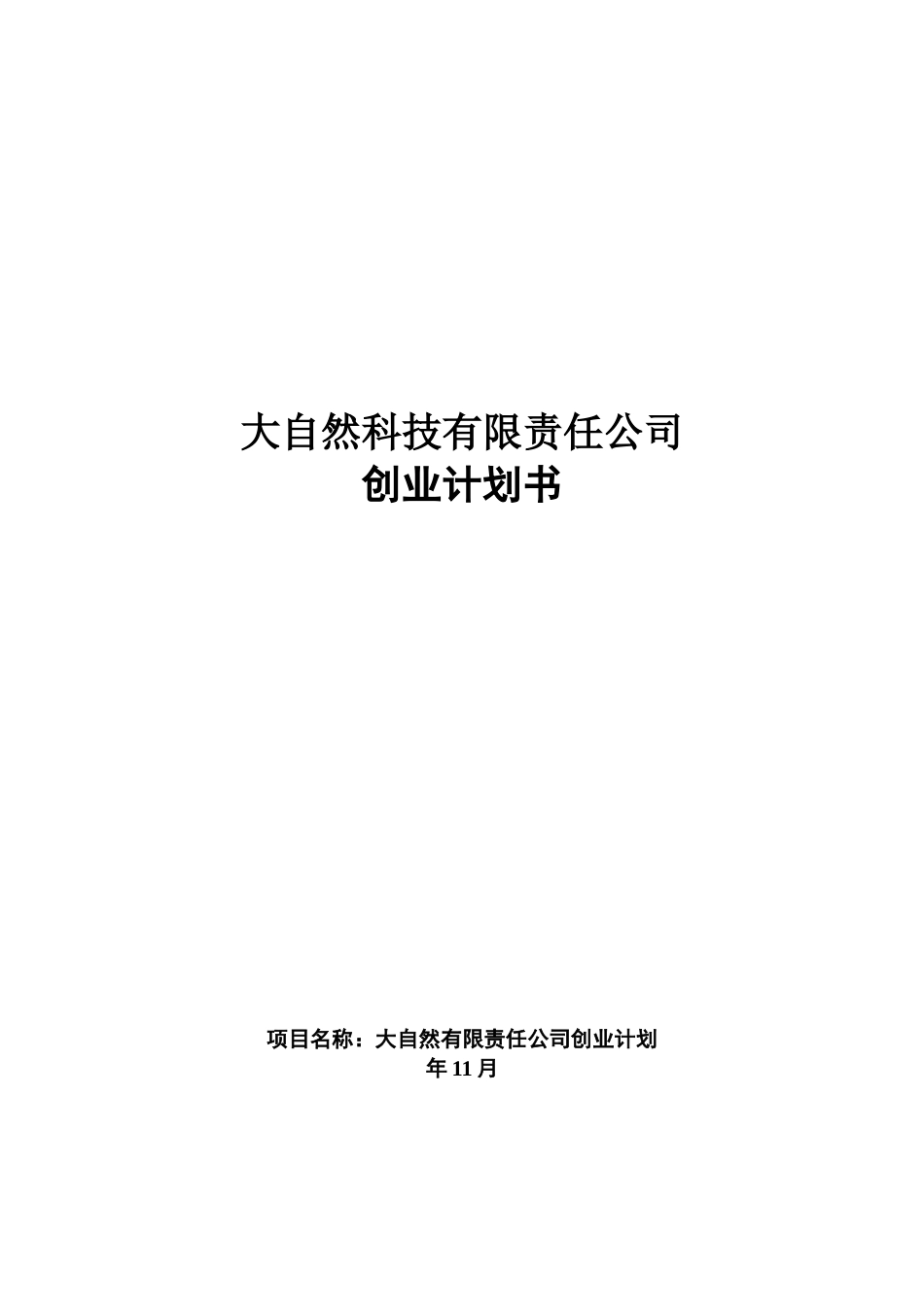 风云炫彩系列便携式空气净化器创业计划书_第1页