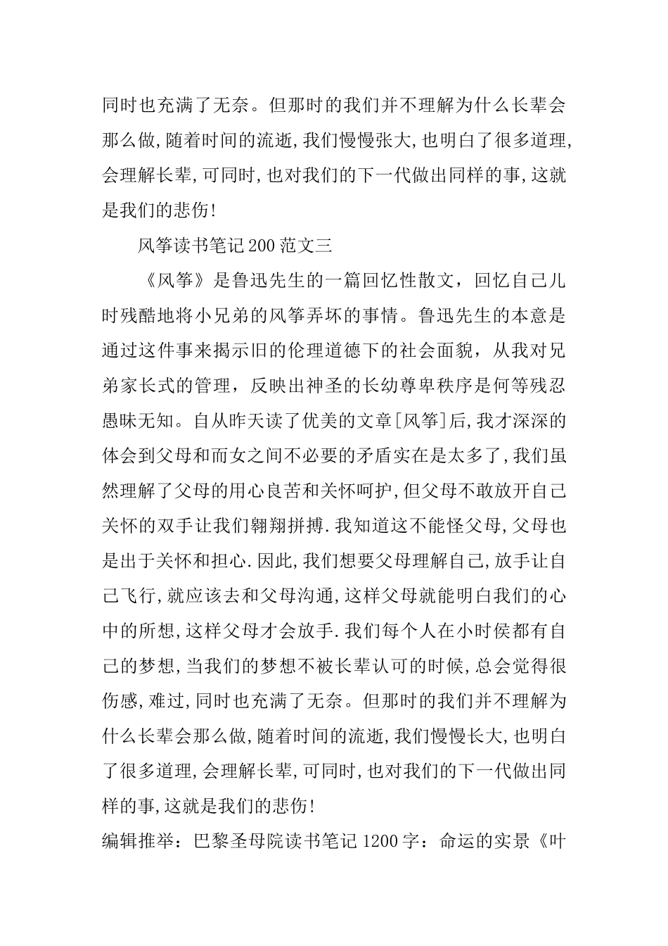 风筝读书笔记200字_第2页