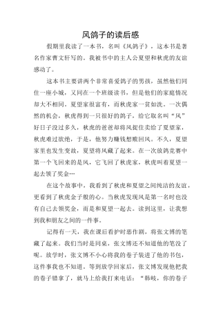 风鸽子的读后感