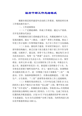 驻村干部工作总结格式