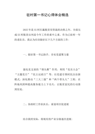 驻村第一书记心得体会精选
