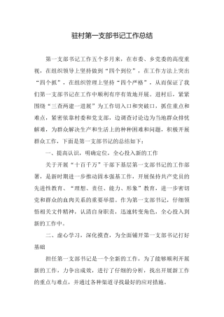 驻村第一支部书记工作总结