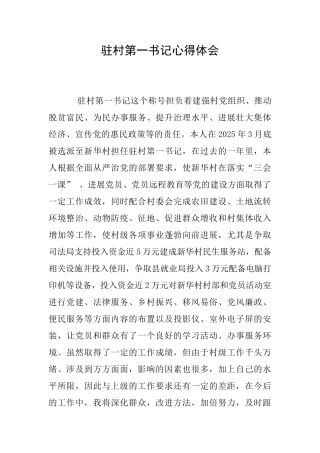 驻村第一书记心得体会