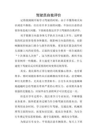 驾驶员自我评价