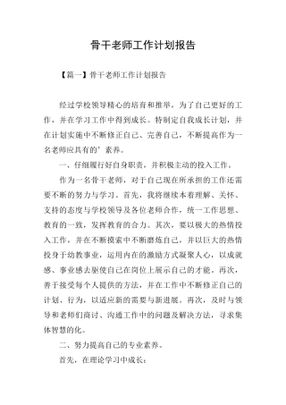 骨干教师工作计划报告