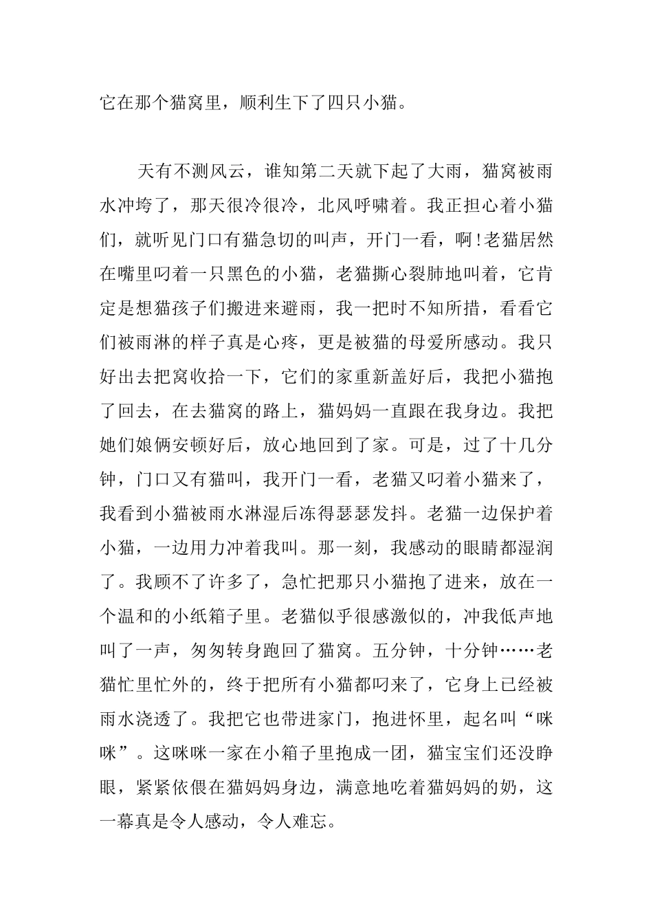 高中感动记叙文800字三篇_第2页