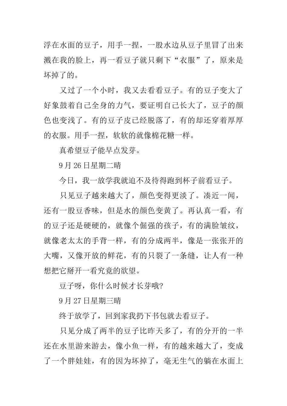 黄豆观察日记_第3页