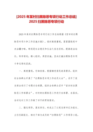 -2025扫黑除恶专项行动