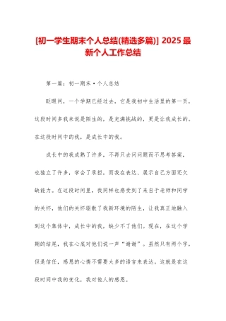 -2025最新个人工作总结