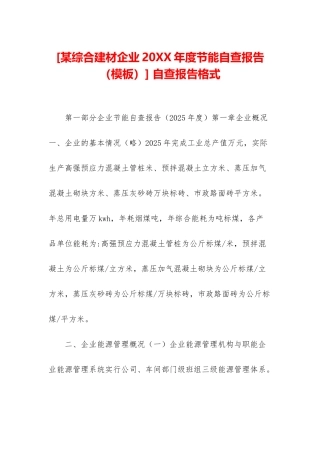 -自查报告格式