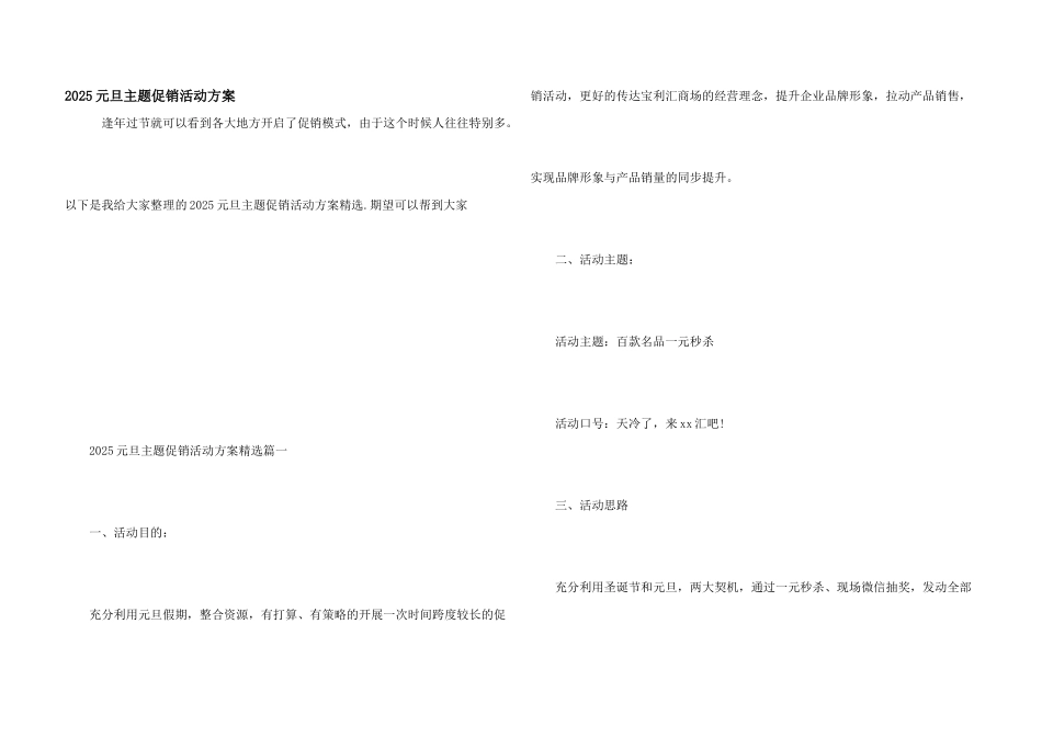 2025元旦主题促销活动方案_第1页