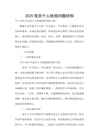 2025党员个人检视问题材料