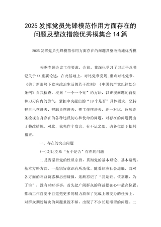 2025发挥党员先锋模范作用方面存在的问题及整改措施优秀模集合14篇