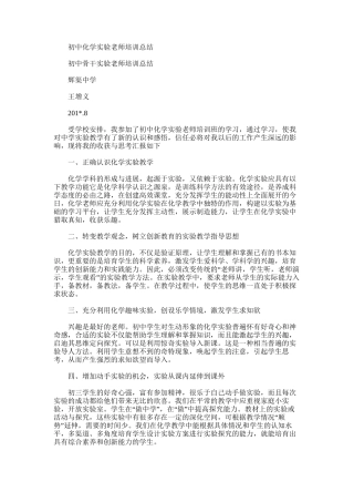 2025年初中化学实验教师培训总结