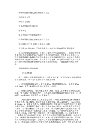 2025年动物病原微生物实验室检验实习总结
