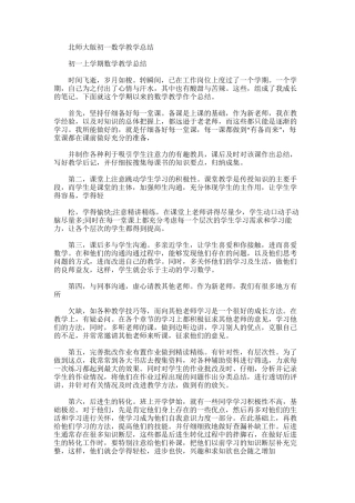2025年北师大版初一数学教学总结