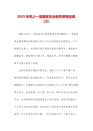2025年同上一堂国家安全教育课观后感-