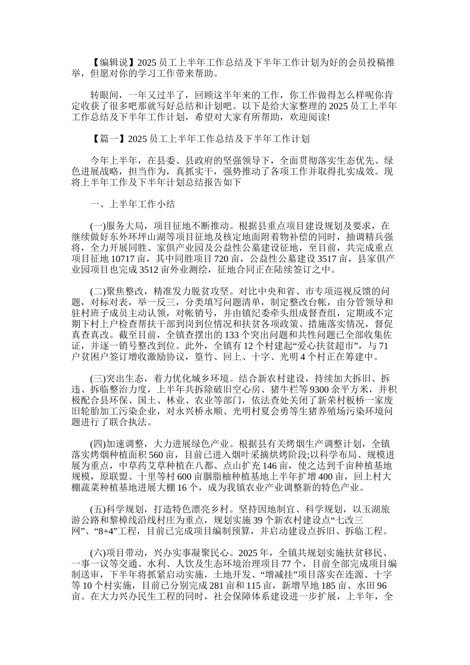 2025年员工上半年工作总结及下半年工作计划_第1页