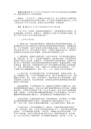 2025年员工上半年工作总结及下半年工作计划