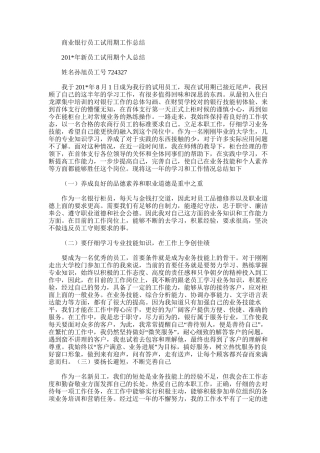 2025年商业银行员工试用期工作总结