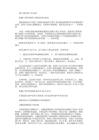 2025年团干部培训工作总结范文